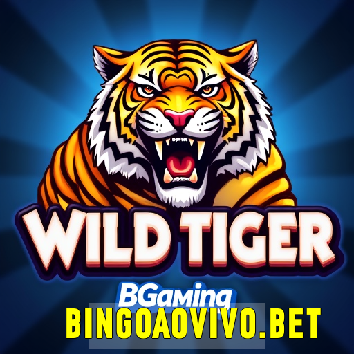 bingoaovivo
